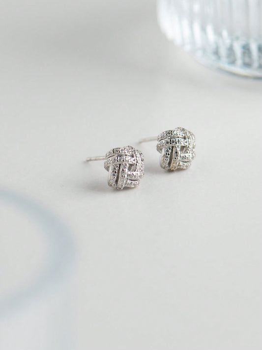 A pair of women's elegant and generous S925 silver earrings. Light luxury and fashionable, suitable for daily dating.