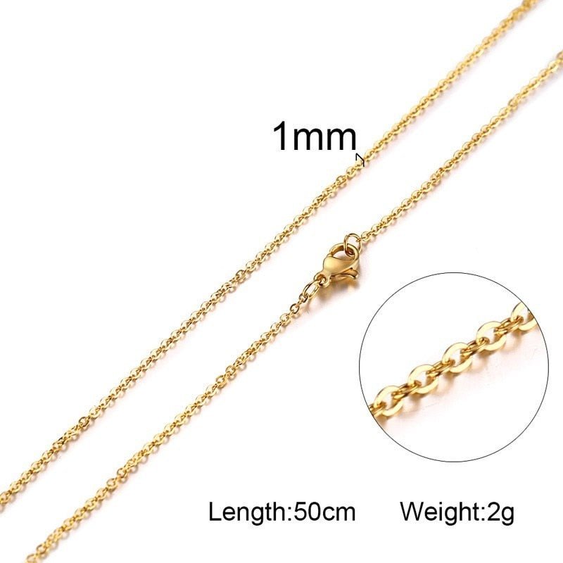 Standard Chain Stainless Steel Link In Snake Chains Necklace For Women Hombre Thin Jewelry 20" - LEIDAI